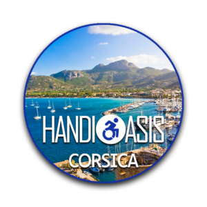 logo handioasis