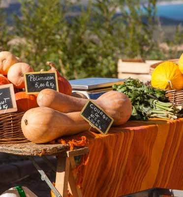 Les marchés de Balagne