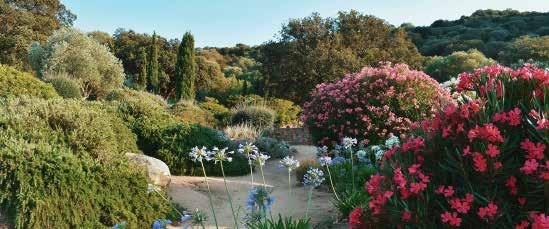 Le parc de Saleccia